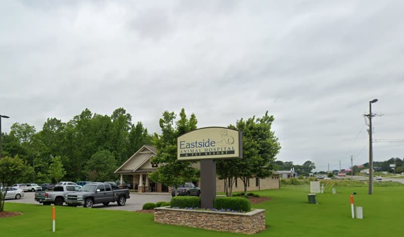 Eastside Animal Hospital