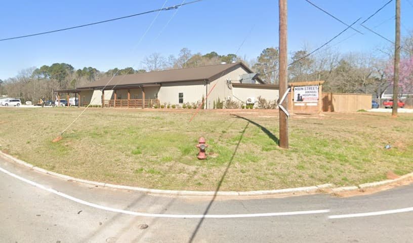 Main Street Animal Hospital