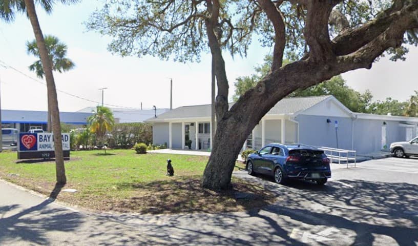 Bay Road Animal Hospital