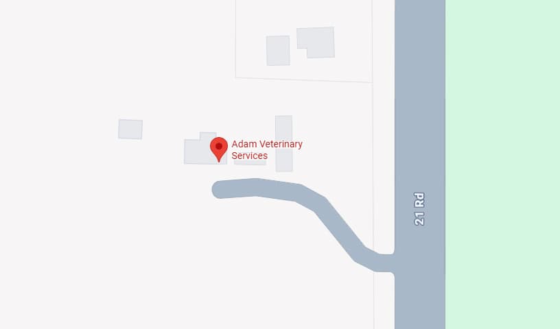 Adam Veterinary Services