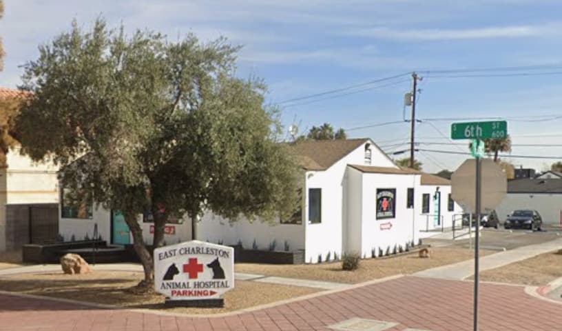 East Charleston Animal Hospital