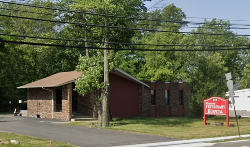 Whippany Veterinary Hospital and Animal Laser Center