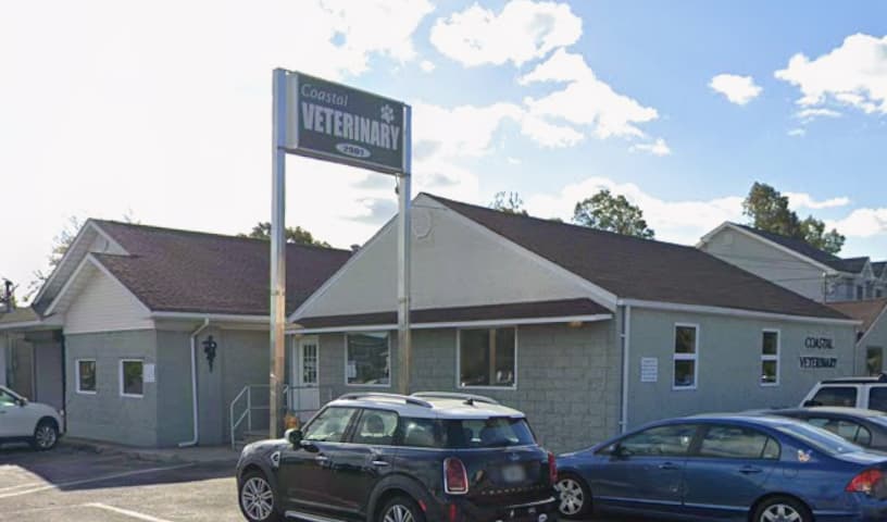 Coastal Veterinary