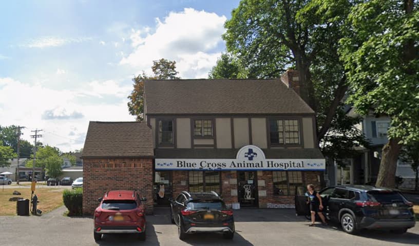 Blue Cross Small Animal Clinic
