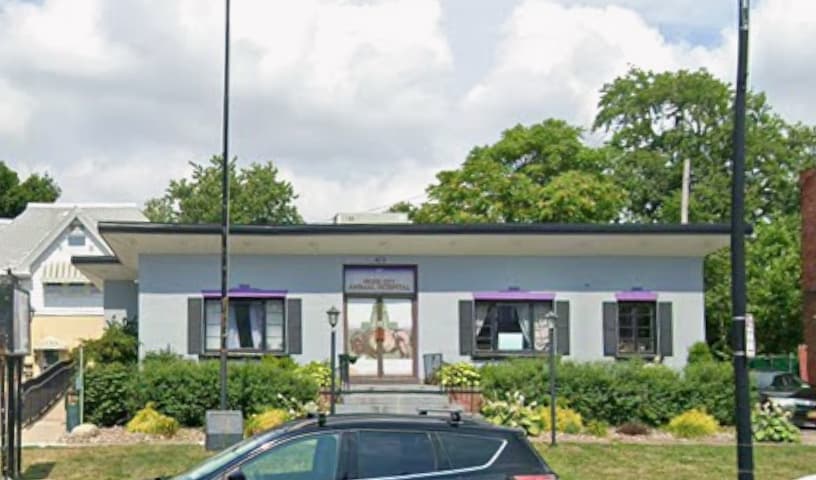 Nickel City Animal Hospital