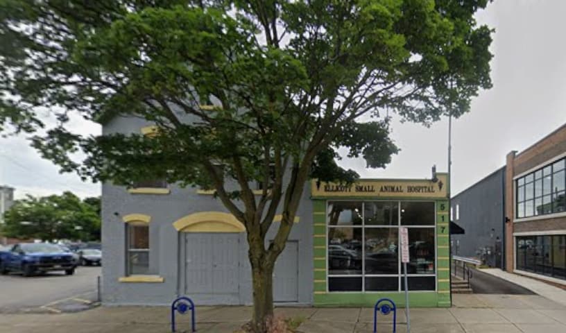 Ellicott Street Animal Hospital