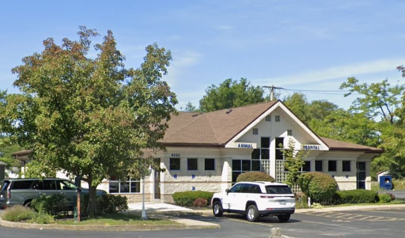 Transit Animal Hospital