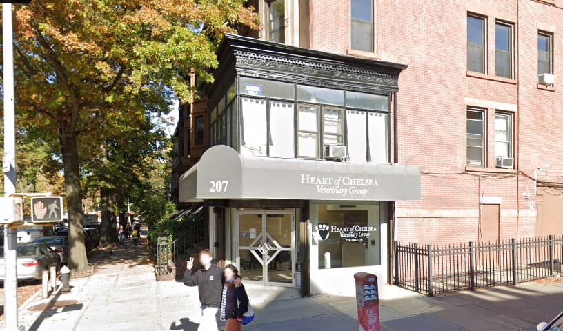 Heart of Chelsea Veterinary Group - Park Slope