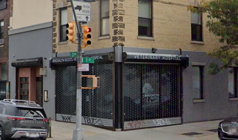 Brooklyn Roots Veterinary Hospital