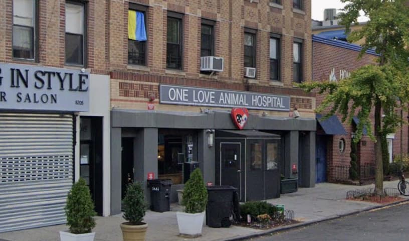 One Love Animal Hospital Bay Ridge