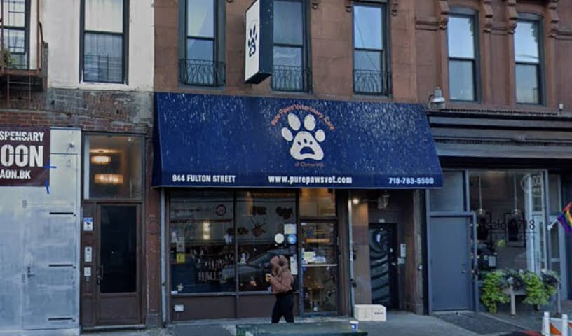 Pure Paws Veterinary Care of Clinton Hill