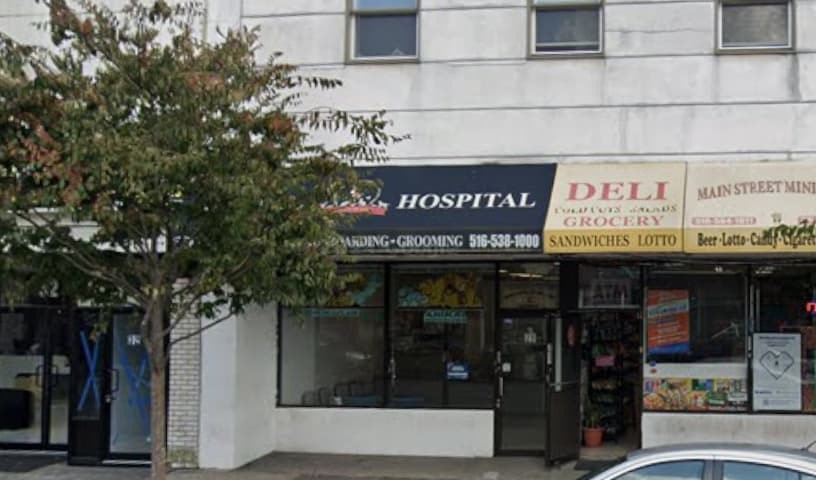 Animal Hospital of Long Island