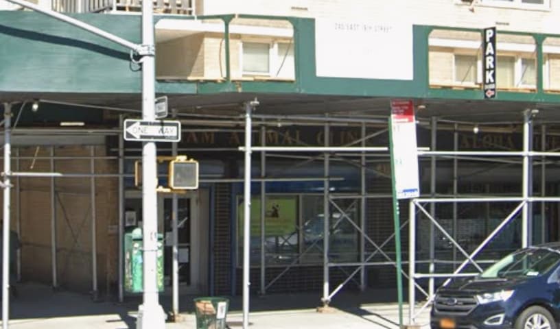 Gotham Animal Clinic