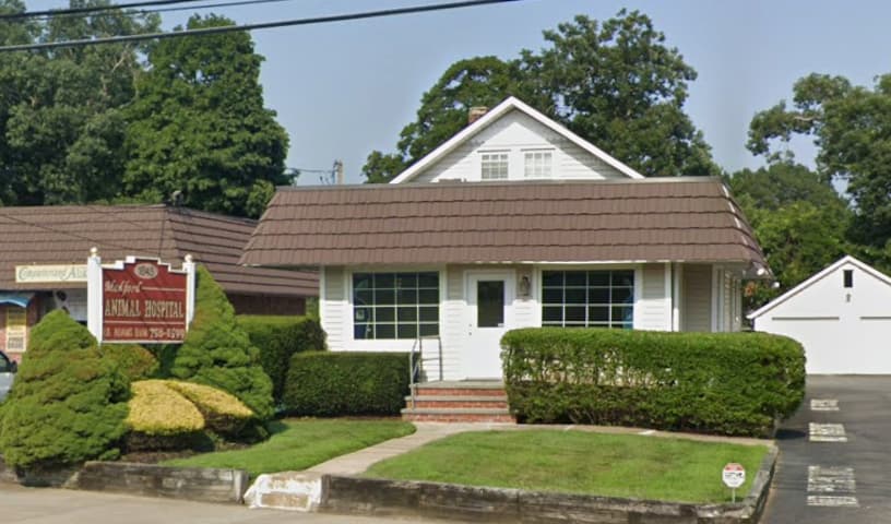 Medford Animal Hospital