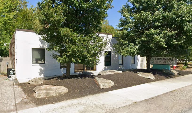 Avon Animal & Bird Hospital Spayco