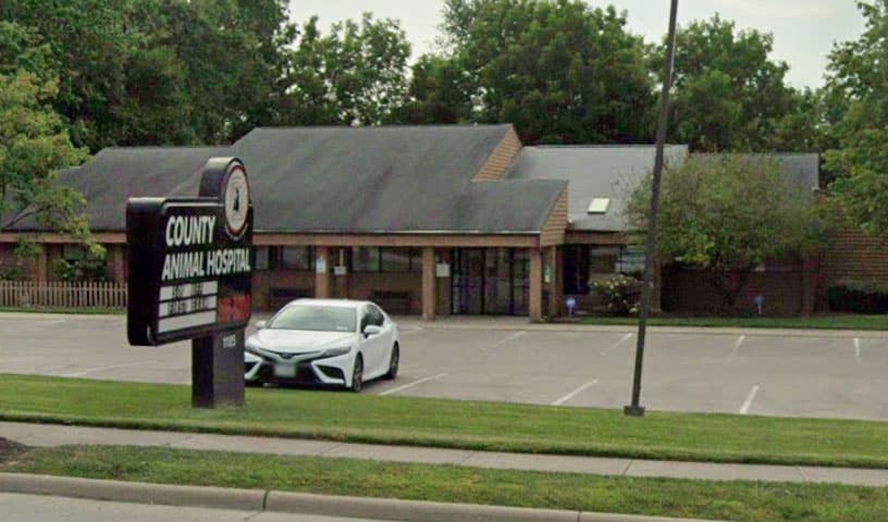 County Animal Hospital