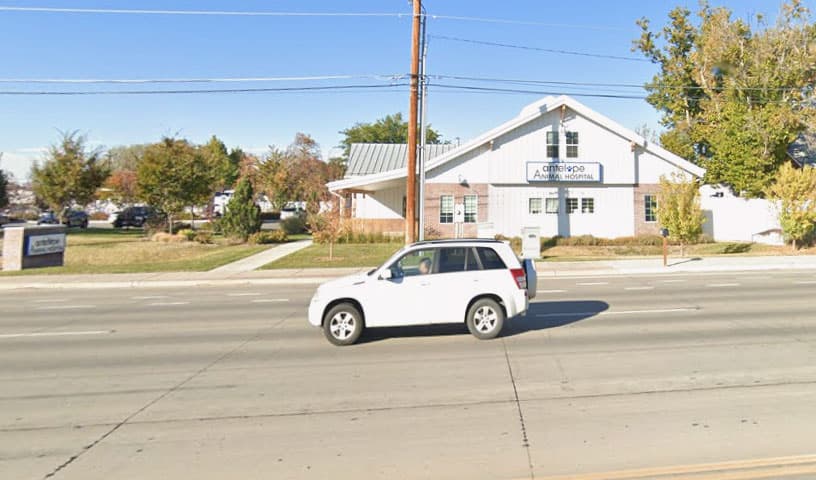 Antelope Animal Hospital