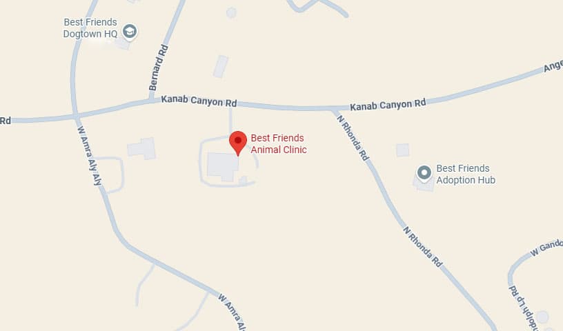 Best Friends Animal Clinic