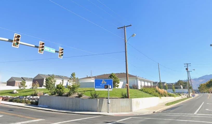 Murray Animal Hospital and Exotics