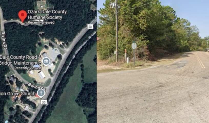 Ozark-Dale County Humane Society