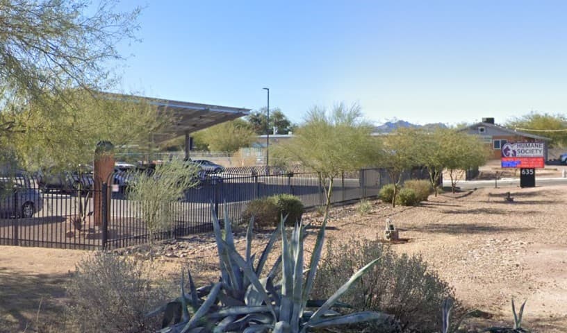 Humane Society of Southern Arizona