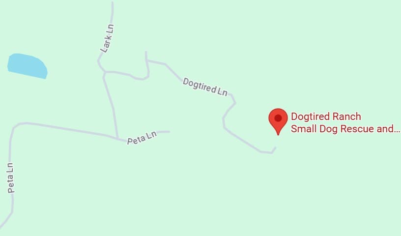 Dogtired Ranch Small Dog Rescue and Shelter, Inc.