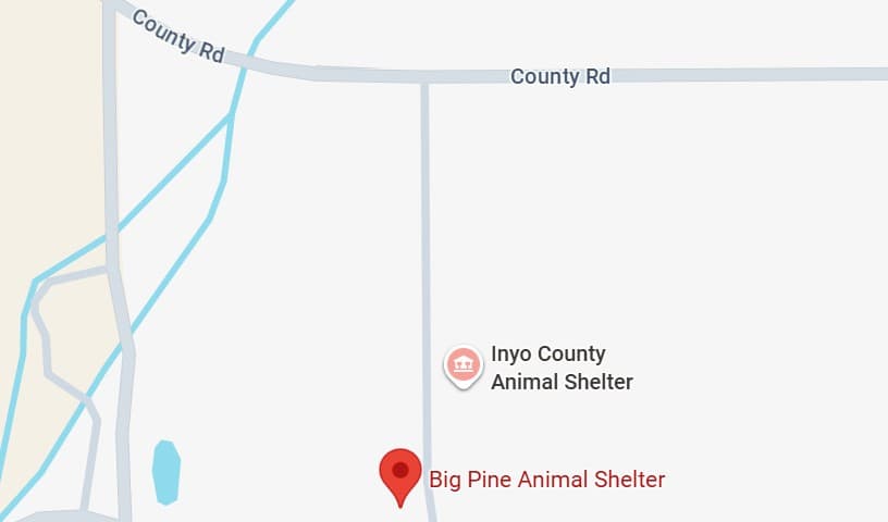 Big Pine Animal Shelter