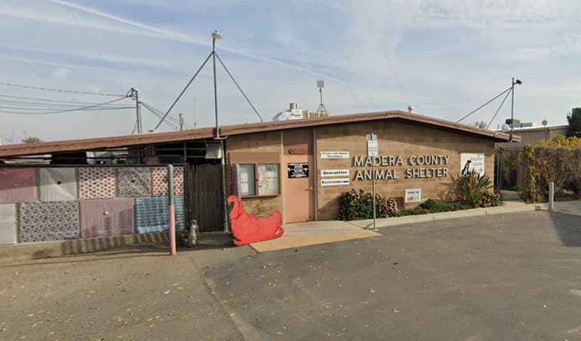 Madera County Animal Services