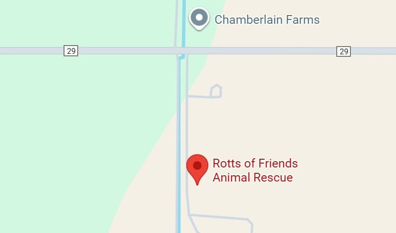 Rotts of Friends Animal Rescue