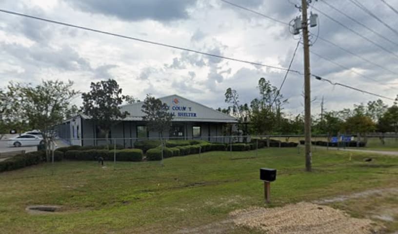 Bay County Animal Control