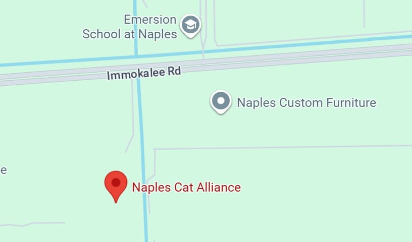 Naples Cat Alliance