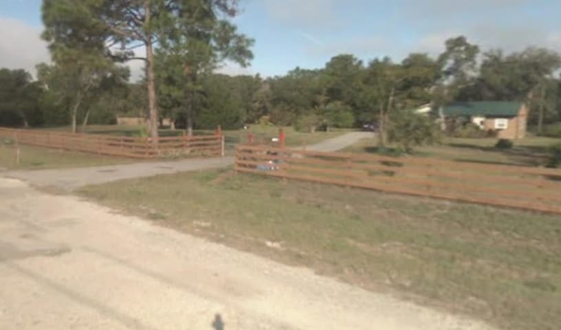 Mr. Lucky's dog sanctuary