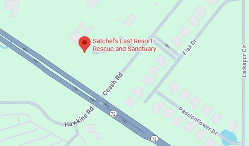 Satchel's Last Resort Rescue and Sanctuary
