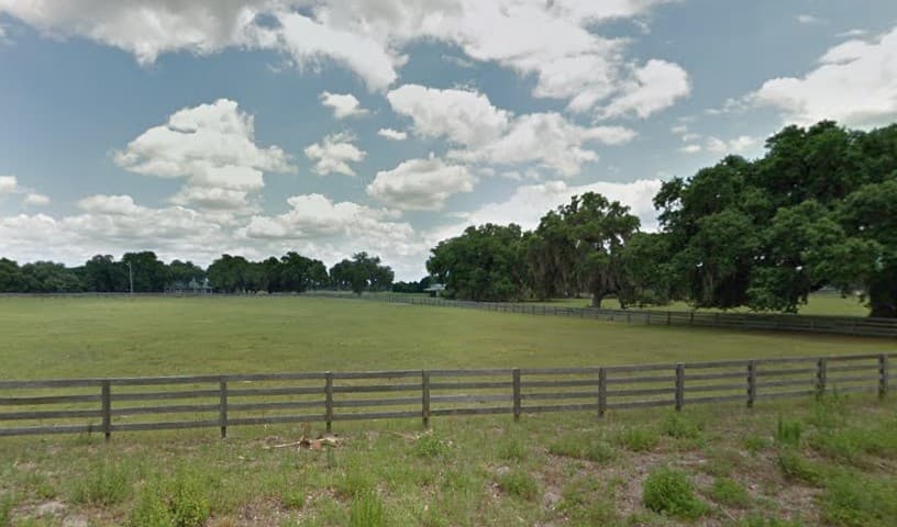 The Wild Horse Rescue Center