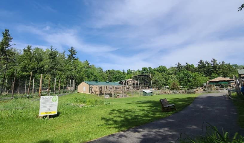 Black Pine Animal Sanctuary