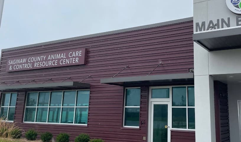 Saginaw County Animal Care & Control