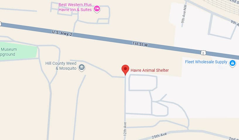 Havre Animal Shelter