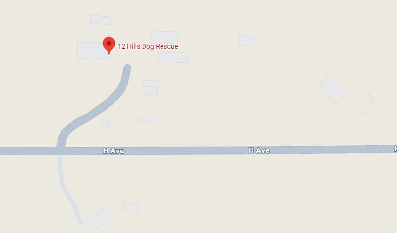 12 Hills Dog Rescue