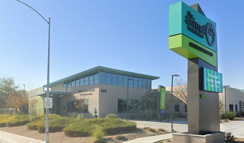 The Animal Foundation