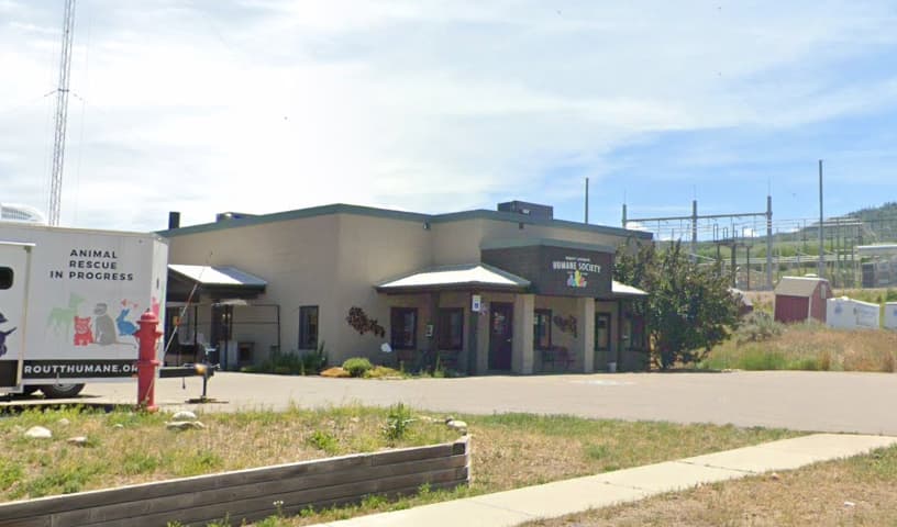 Licking County Dog Shelter& Adoption Center