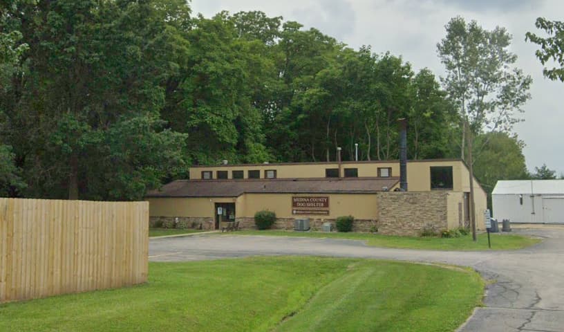 Medina County Dog Shelter