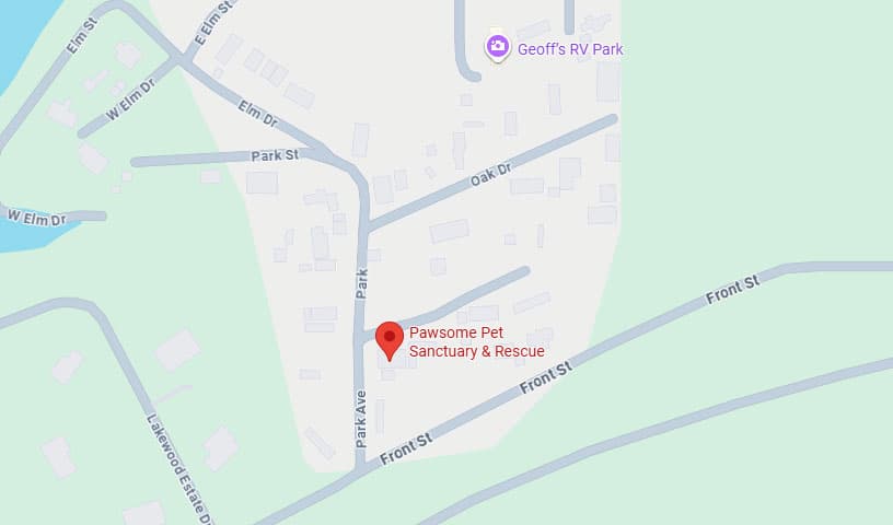 Pawsome Pet Sanctuary & Rescue