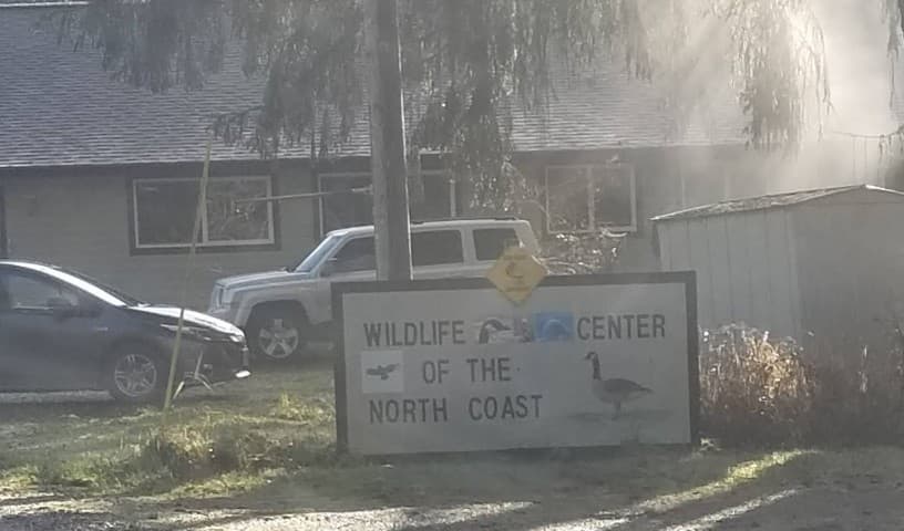 Wildlife Center of North Coast