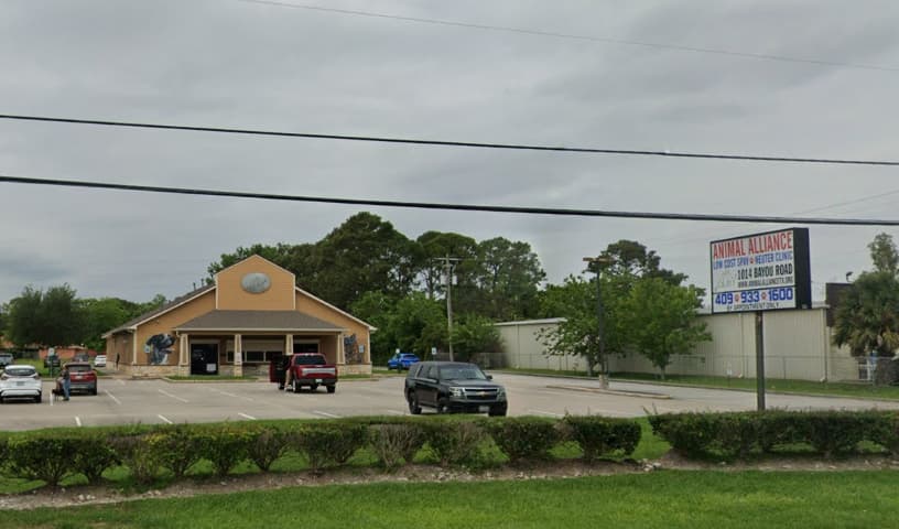 Animal Alliance of Galveston County