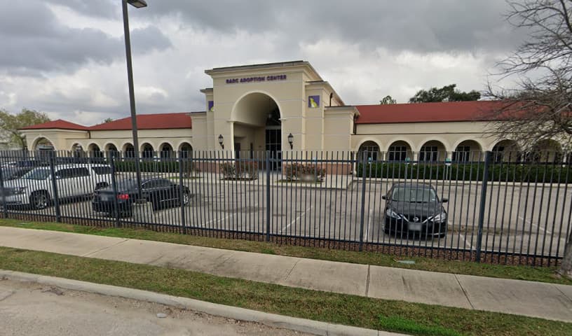 BARC Animal Shelter and Adoptions