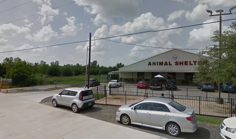 Montgomery County Animal Services