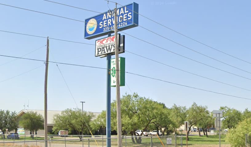 City of San Angelo Animal Services Division