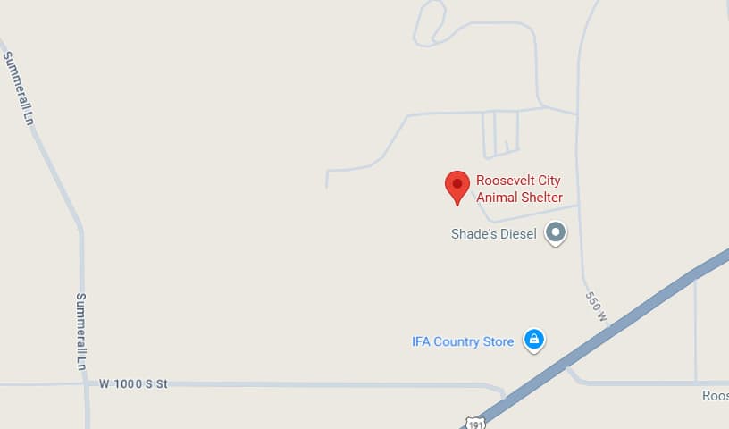 Roosevelt Animal Shelter