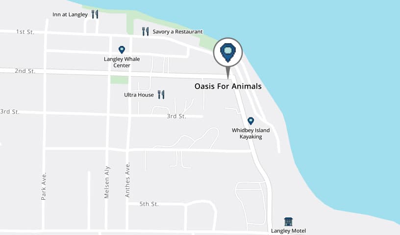 Oasis for Animals