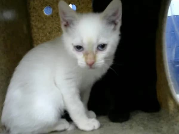 Doc - photo 1
